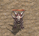 5.gif