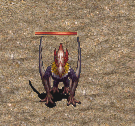 7.gif